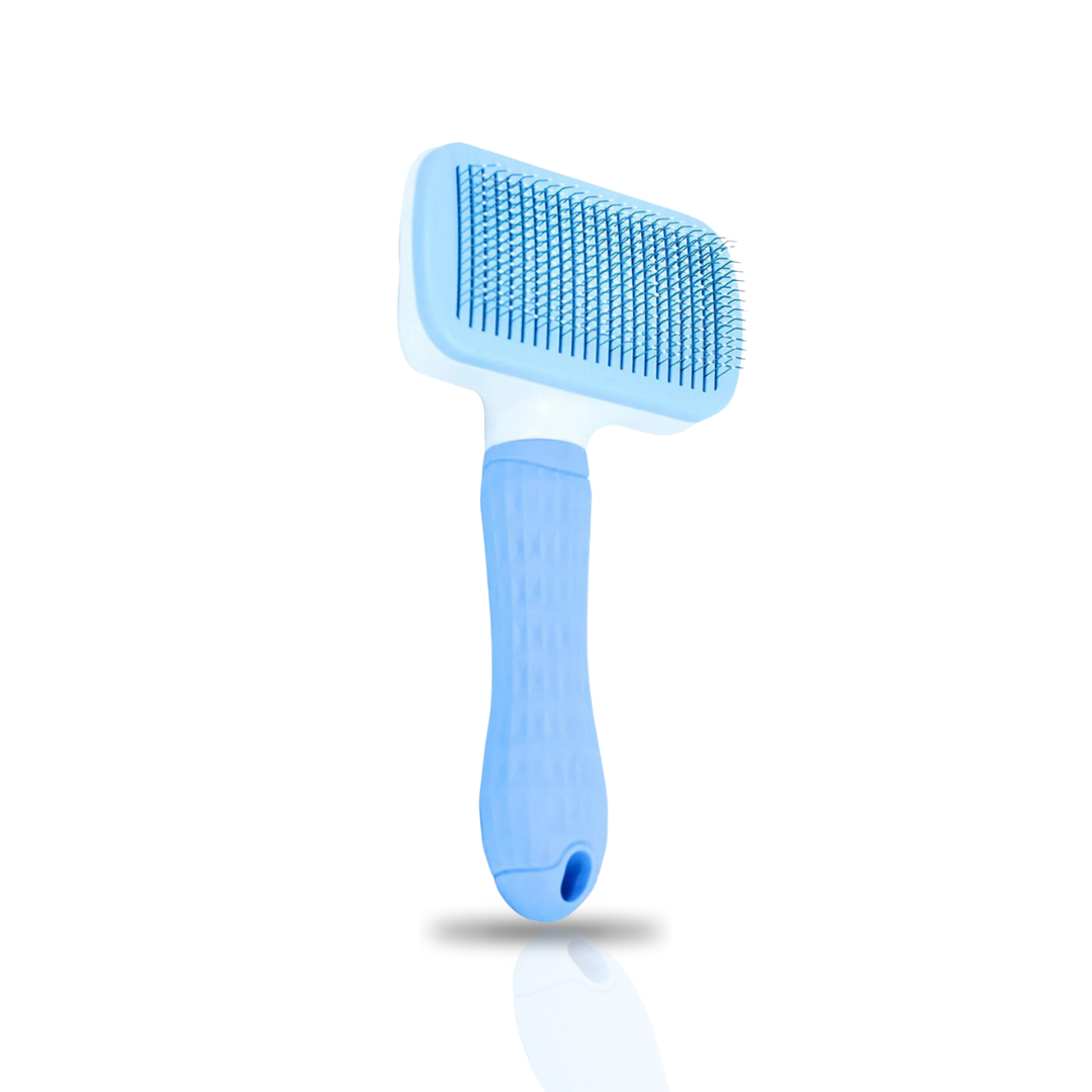 Brosse de Toilettage - Accessoire de toilettage