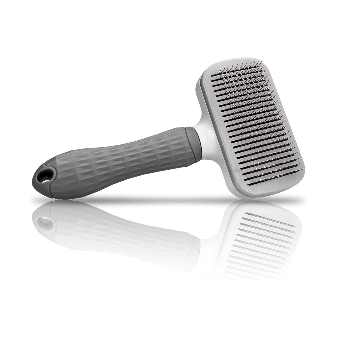 Brosse de Toilettage - Accessoire de toilettage