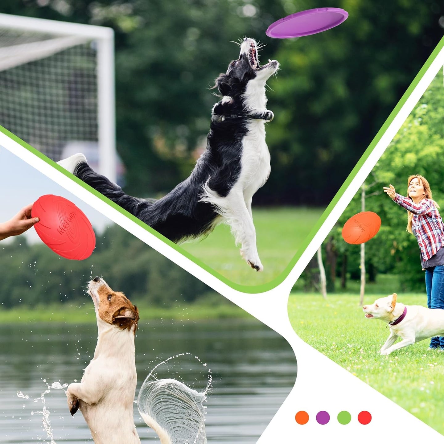 Frisbee pour chien - Jouet pour chien